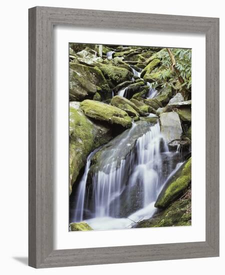 Tennessee, Great Smoky Mts National Park, Waterfalls Along Roaring Fork Stream-Christopher Talbot Frank-Framed Photographic Print