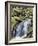 Tennessee, Great Smoky Mts National Park, Waterfalls Along Roaring Fork Stream-Christopher Talbot Frank-Framed Photographic Print