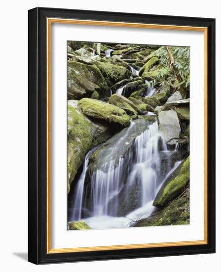 Tennessee, Great Smoky Mts National Park, Waterfalls Along Roaring Fork Stream-Christopher Talbot Frank-Framed Photographic Print