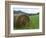 Tennessee Mountain Field-Herb Dickinson-Framed Photographic Print