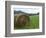 Tennessee Mountain Field-Herb Dickinson-Framed Photographic Print