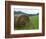 Tennessee Mountain Field-Herb Dickinson-Framed Photographic Print