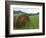 Tennessee Mountain Field-Herb Dickinson-Framed Photographic Print