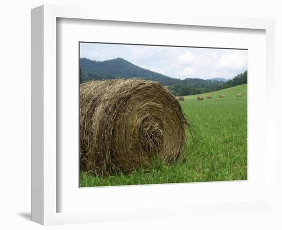 Tennessee Mountain Field-Herb Dickinson-Framed Photographic Print