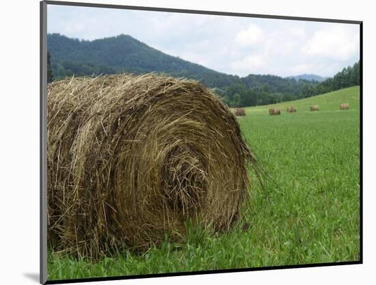 Tennessee Mountain Field-Herb Dickinson-Mounted Photographic Print