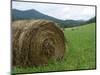 Tennessee Mountain Field-Herb Dickinson-Mounted Photographic Print