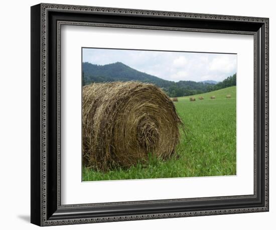 Tennessee Mountain Field-Herb Dickinson-Framed Photographic Print