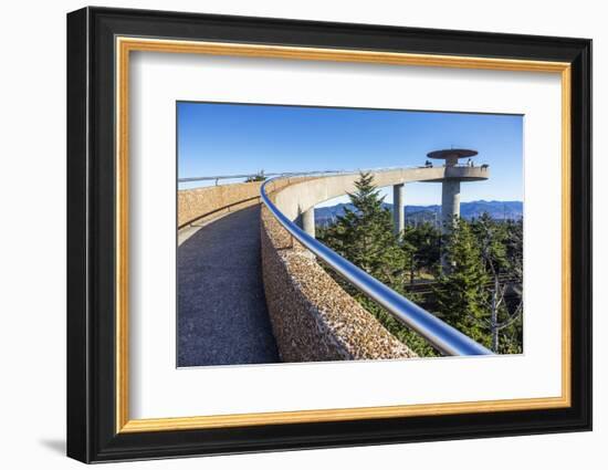 Tennessee, North Carolina, Great Smoky Mountains NP, Clingmans Dome-Jamie & Judy Wild-Framed Photographic Print