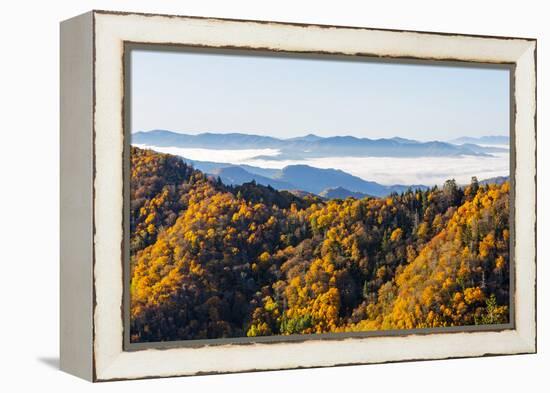 Tennessee, North Carolina, Great Smoky Mountains NP, Newfound Gap-Jamie & Judy Wild-Framed Premier Image Canvas