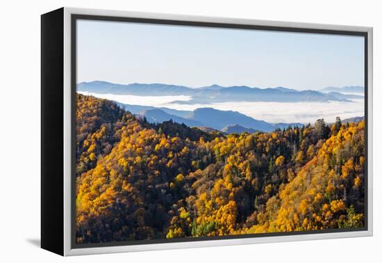 Tennessee, North Carolina, Great Smoky Mountains NP, Newfound Gap-Jamie & Judy Wild-Framed Premier Image Canvas