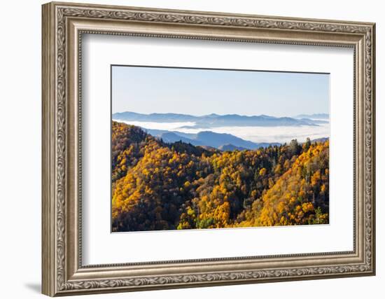 Tennessee, North Carolina, Great Smoky Mountains NP, Newfound Gap-Jamie & Judy Wild-Framed Photographic Print