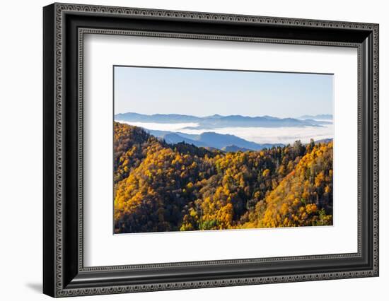 Tennessee, North Carolina, Great Smoky Mountains NP, Newfound Gap-Jamie & Judy Wild-Framed Photographic Print