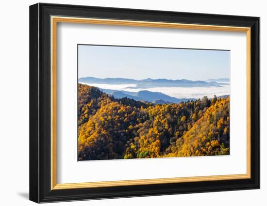 Tennessee, North Carolina, Great Smoky Mountains NP, Newfound Gap-Jamie & Judy Wild-Framed Photographic Print