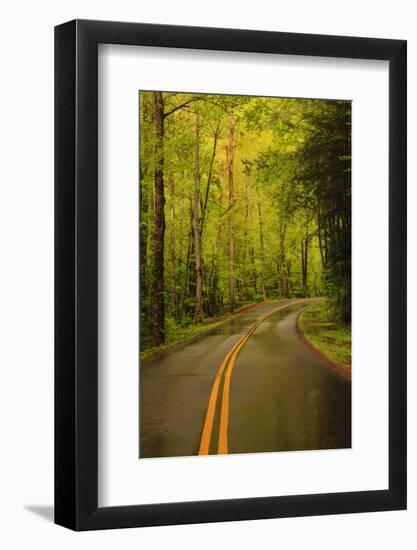 Tennessee, Road at Tremont in the Smoky Mountains NP-Joanne Wells-Framed Photographic Print