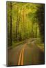 Tennessee, Road at Tremont in the Smoky Mountains NP-Joanne Wells-Mounted Photographic Print