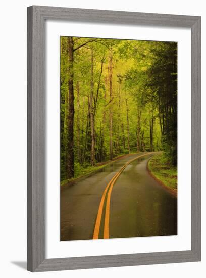 Tennessee, Road at Tremont in the Smoky Mountains NP-Joanne Wells-Framed Photographic Print