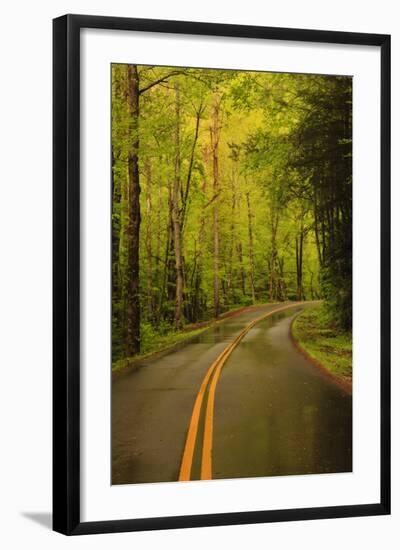 Tennessee, Road at Tremont in the Smoky Mountains NP-Joanne Wells-Framed Photographic Print