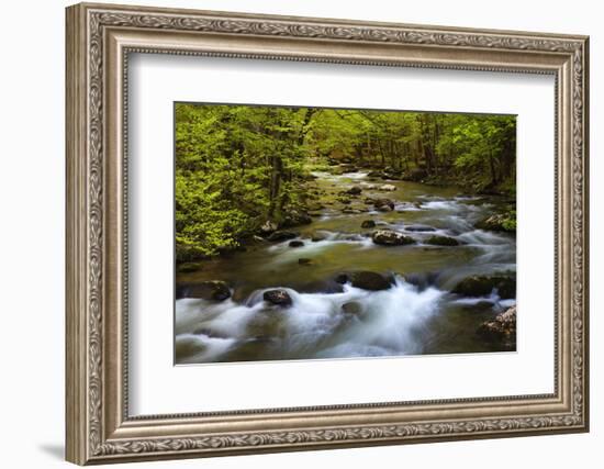 Tennessee, Spring Reflections on Little River at Smoky Mountains NP-Joanne Wells-Framed Photographic Print