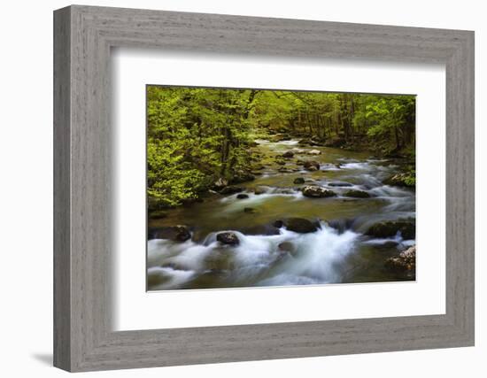 Tennessee, Spring Reflections on Little River at Smoky Mountains NP-Joanne Wells-Framed Photographic Print