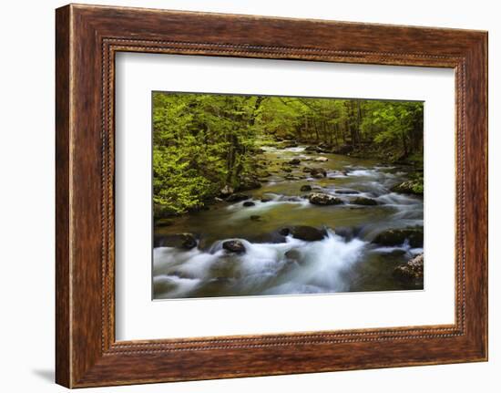 Tennessee, Spring Reflections on Little River at Smoky Mountains NP-Joanne Wells-Framed Photographic Print