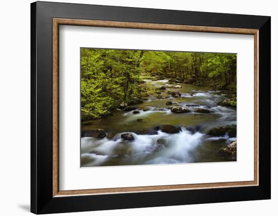 Tennessee, Spring Reflections on Little River at Smoky Mountains NP-Joanne Wells-Framed Photographic Print