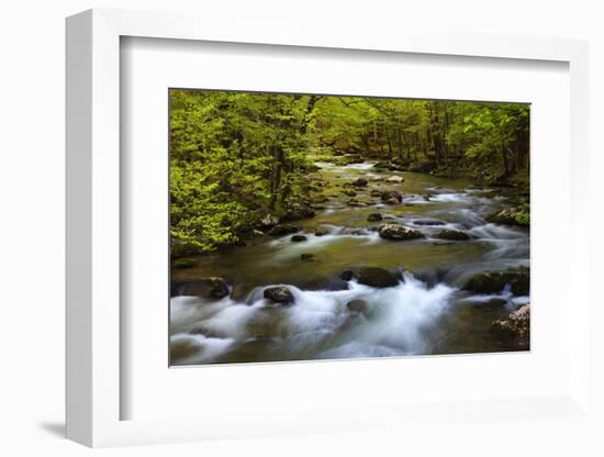 Tennessee, Spring Reflections on Little River at Smoky Mountains NP-Joanne Wells-Framed Photographic Print