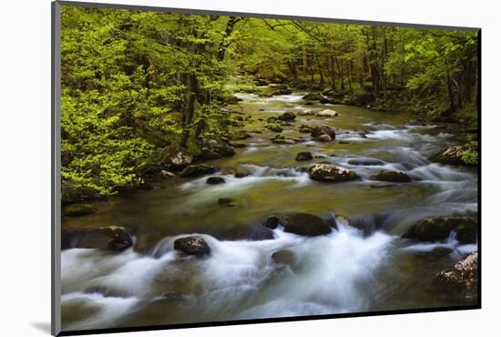 Tennessee, Spring Reflections on Little River at Smoky Mountains NP-Joanne Wells-Mounted Photographic Print