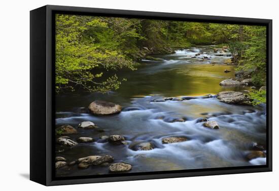 Tennessee, Spring Reflections on Little River at Smoky Mountains NP-Joanne Wells-Framed Premier Image Canvas