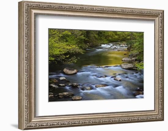 Tennessee, Spring Reflections on Little River at Smoky Mountains NP-Joanne Wells-Framed Photographic Print