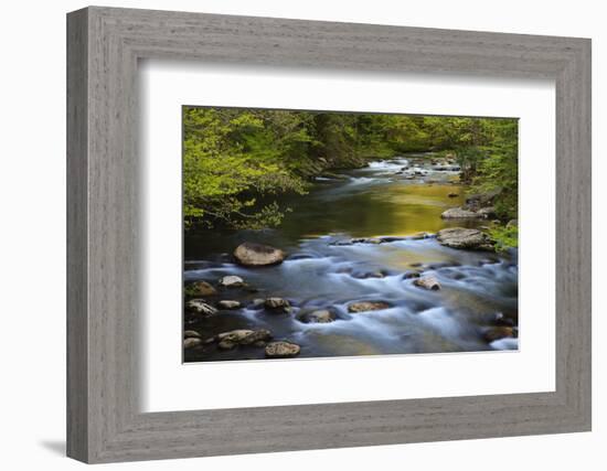 Tennessee, Spring Reflections on Little River at Smoky Mountains NP-Joanne Wells-Framed Photographic Print