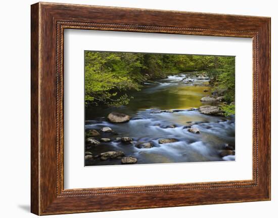 Tennessee, Spring Reflections on Little River at Smoky Mountains NP-Joanne Wells-Framed Photographic Print