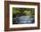 Tennessee, Spring Reflections on Little River at Smoky Mountains NP-Joanne Wells-Framed Photographic Print