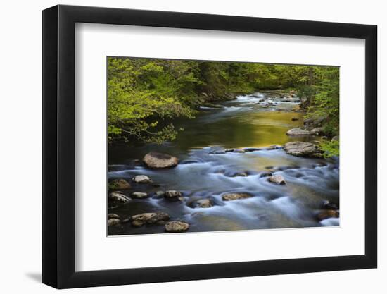 Tennessee, Spring Reflections on Little River at Smoky Mountains NP-Joanne Wells-Framed Photographic Print