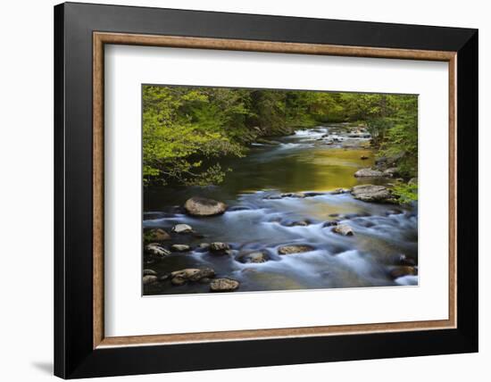 Tennessee, Spring Reflections on Little River at Smoky Mountains NP-Joanne Wells-Framed Photographic Print