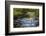 Tennessee, Spring Reflections on Little River at Smoky Mountains NP-Joanne Wells-Framed Photographic Print