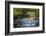 Tennessee, Spring Reflections on Little River at Smoky Mountains NP-Joanne Wells-Framed Photographic Print