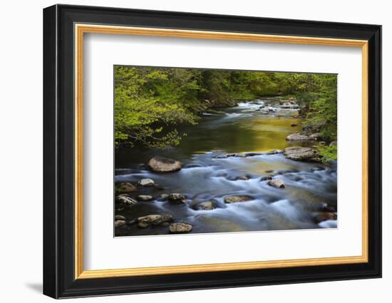 Tennessee, Spring Reflections on Little River at Smoky Mountains NP-Joanne Wells-Framed Photographic Print