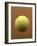 Tennis Ball Against a Racquet-null-Framed Photographic Print