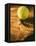 Tennis Ball and Wood Racket-Tom Grill-Framed Premier Image Canvas