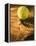 Tennis Ball and Wood Racket-Tom Grill-Framed Premier Image Canvas