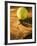 Tennis Ball and Wood Racket-Tom Grill-Framed Photographic Print