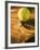 Tennis Ball and Wood Racket-Tom Grill-Framed Photographic Print