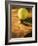 Tennis Ball and Wood Racket-Tom Grill-Framed Photographic Print