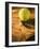 Tennis Ball and Wood Racket-Tom Grill-Framed Photographic Print