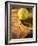 Tennis Ball and Wood Racket-Tom Grill-Framed Photographic Print