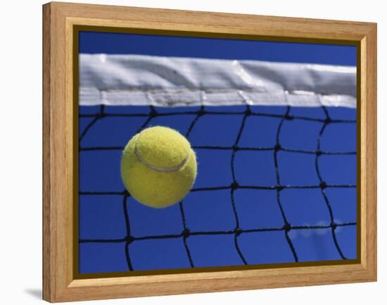 Tennis Ball Hitting Net-null-Framed Premier Image Canvas