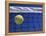 Tennis Ball Hitting Net-null-Framed Premier Image Canvas
