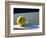 Tennis Ball-Mitch Diamond-Framed Photographic Print