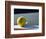 Tennis Ball-Mitch Diamond-Framed Photographic Print