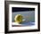 Tennis Ball-Mitch Diamond-Framed Photographic Print